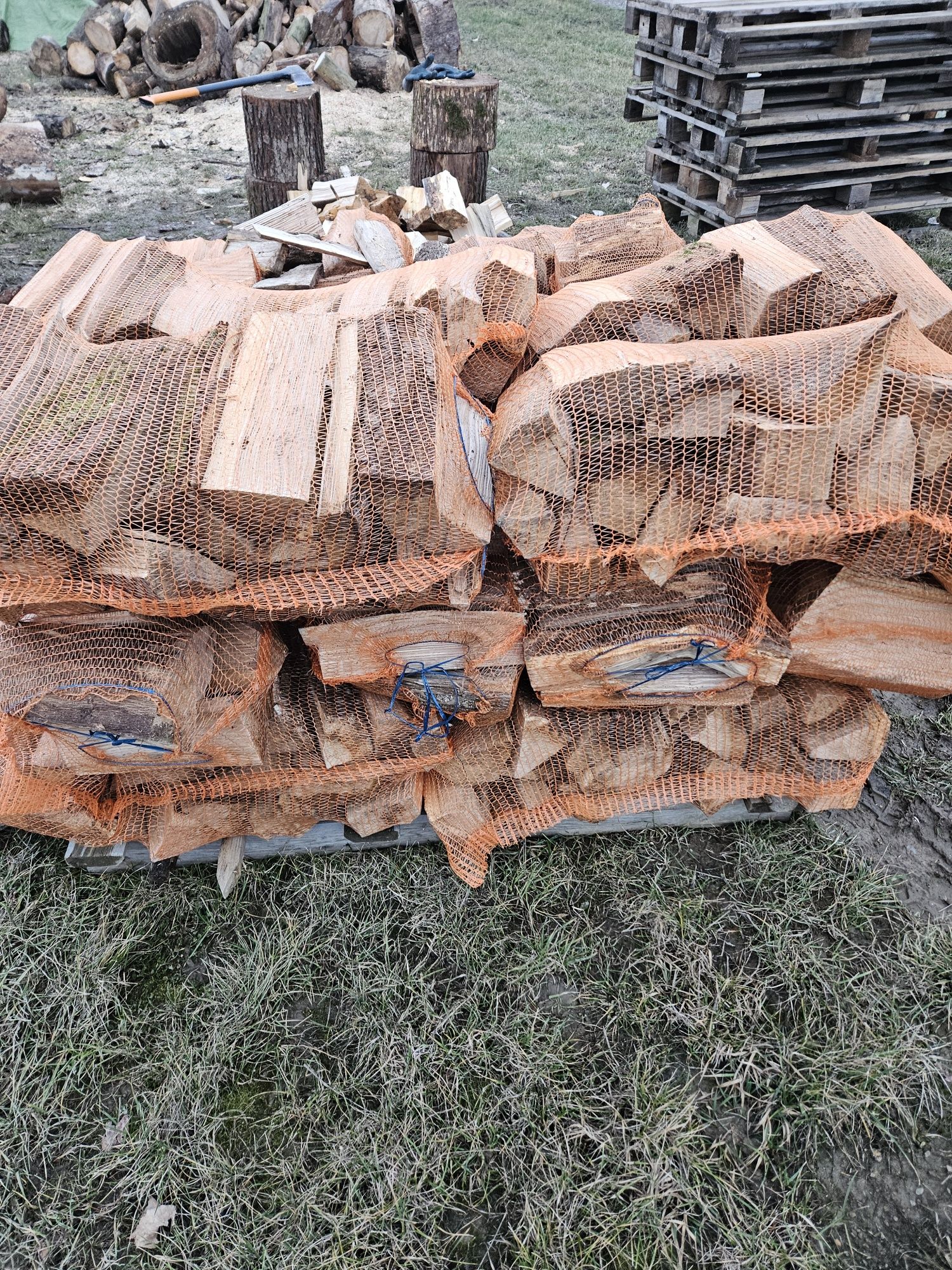 Suche sezonowane  Drewno opałowe kominkowe w workach duży worek 50x