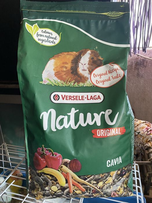 Alimento para Porquinho da india