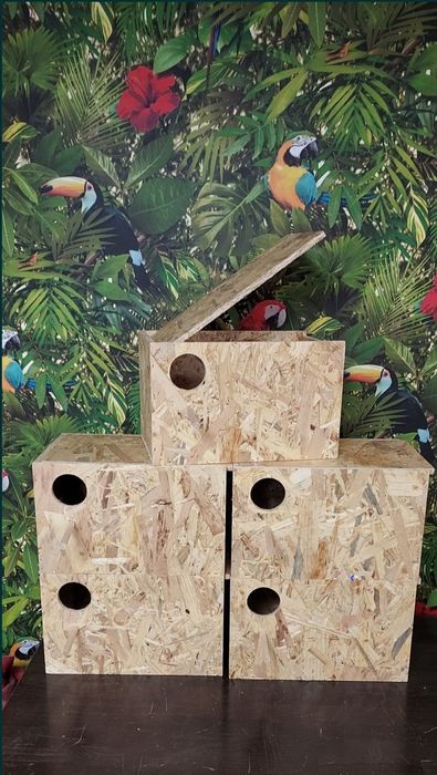 Budki lęgowe dla ptaków papug średnich budka legowa