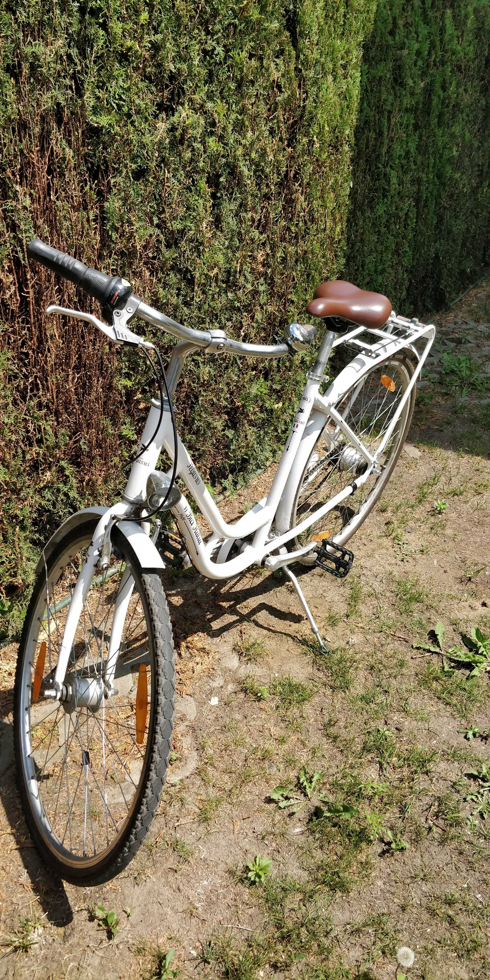 Rower - oryginalny Pegasus
