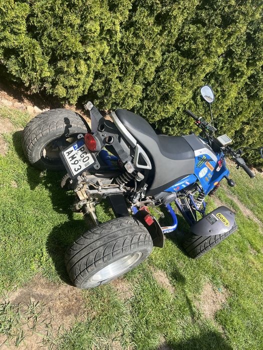 Quad Bashan 300