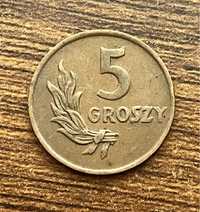 5 Groszy 1949 rok ( brąz ) Rezerwacja