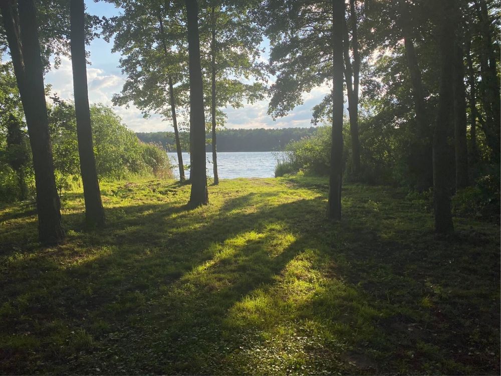 Pokoje nad jeziorem - Wilcze