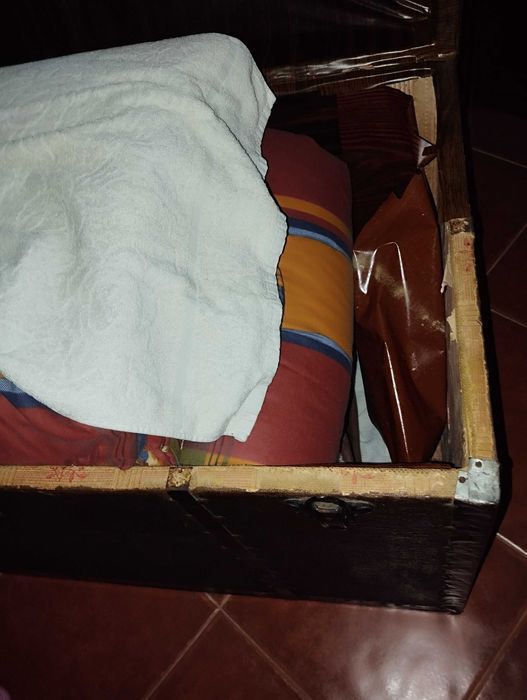 Bau - Arca - Mala - Antigo - Bem estimado