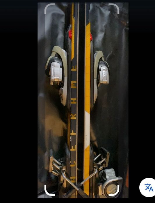 Горнолыжные лыжи