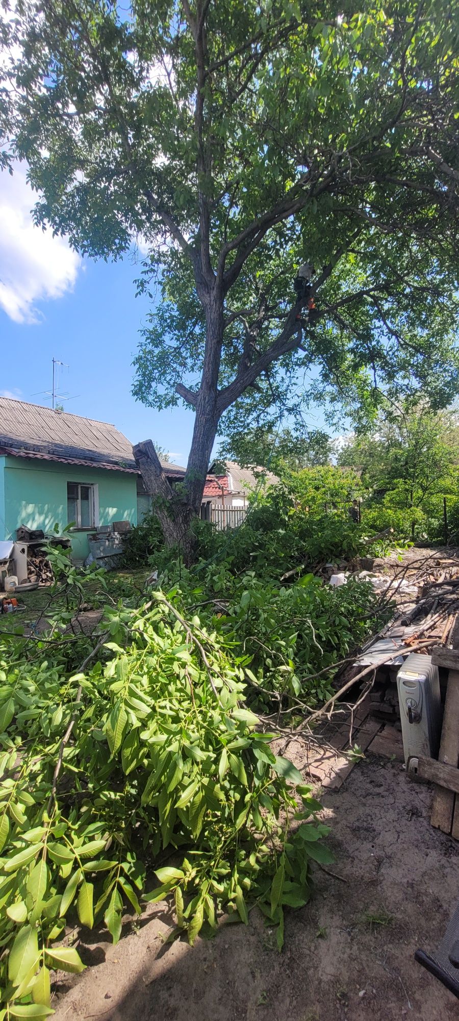 ПокОс травы уборка участка СПил деревьев