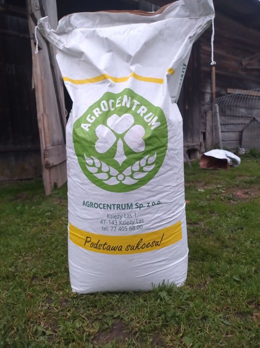 Pszenżyto Banatus, kfalifikat 50kg