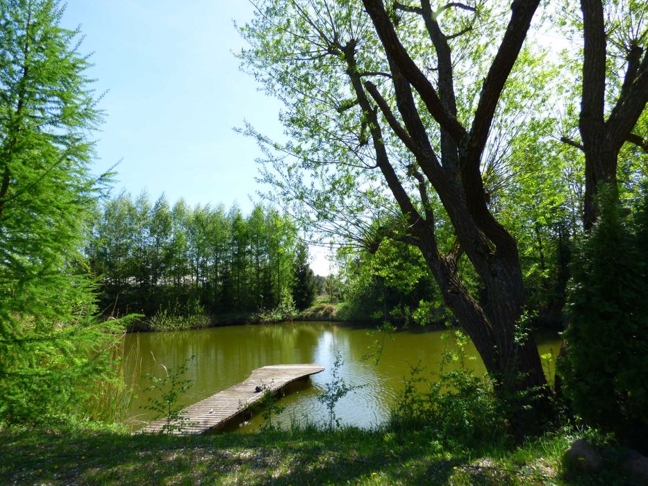 Urokliwy dom w otoczeniu zieleni z własnym stawem.