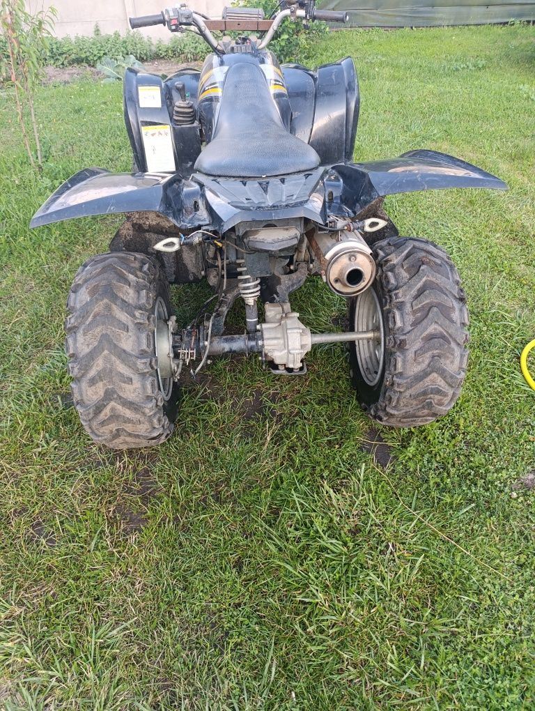 Quad Yamaha Volwerine