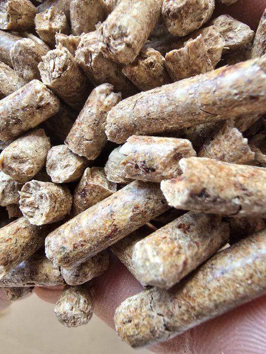 Pellet -producent ( lepszego już nie znajdziesz )