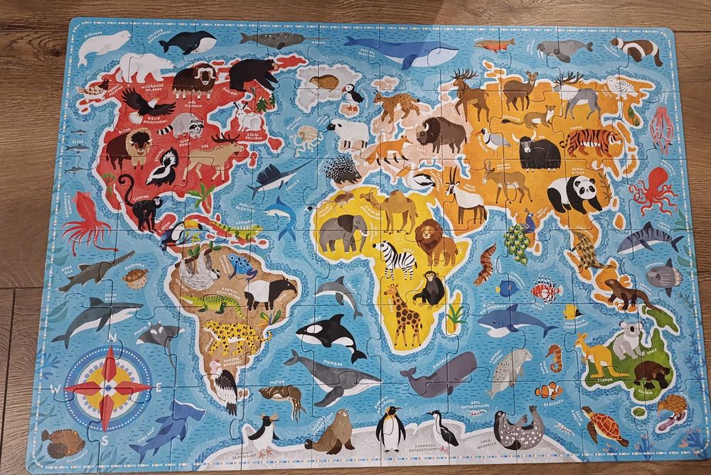 Zestaw puzzli dla 100-180, 24 zestawy, trefl, clementoni