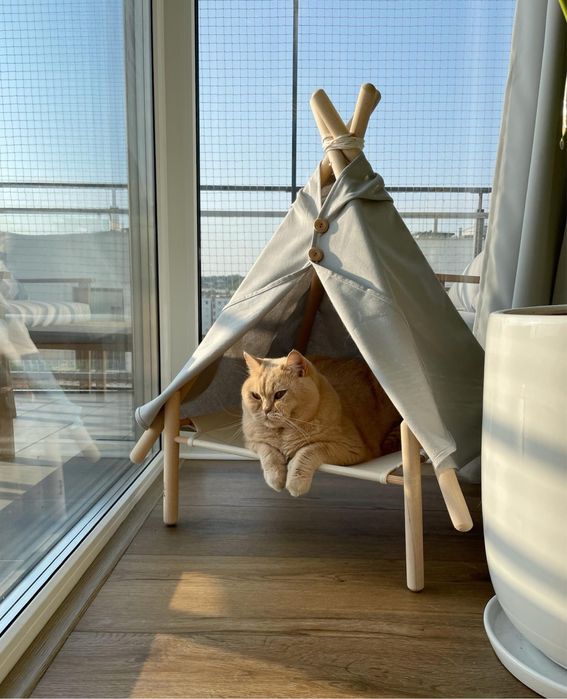 Sprzedam Biznes - Marka Sklep w branzy PET