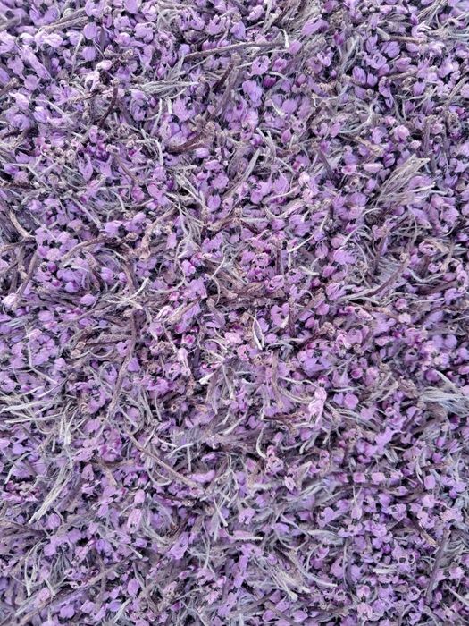 Carpete Sala  roxa 2,00 x 2,90