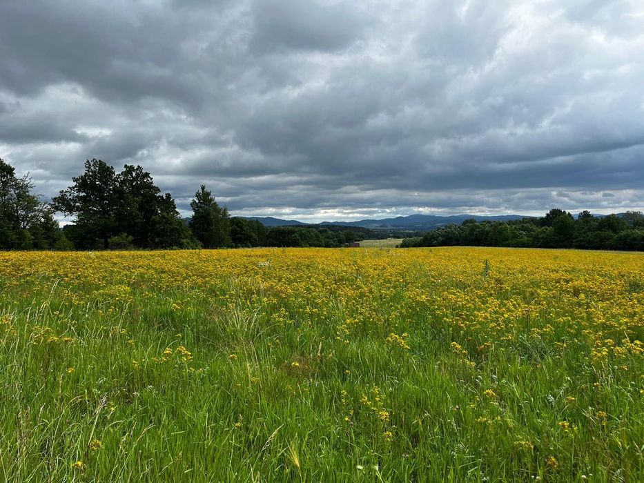 Działka budowlana w górach na sprzedaż - Starków, Kotlina Kłodzka