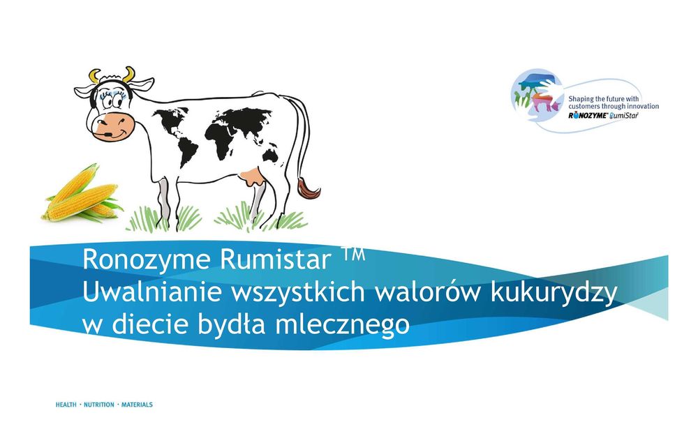 Ronozyme Rumistar poprawa strawności skrobi Amylaza dla bydła mleczneg