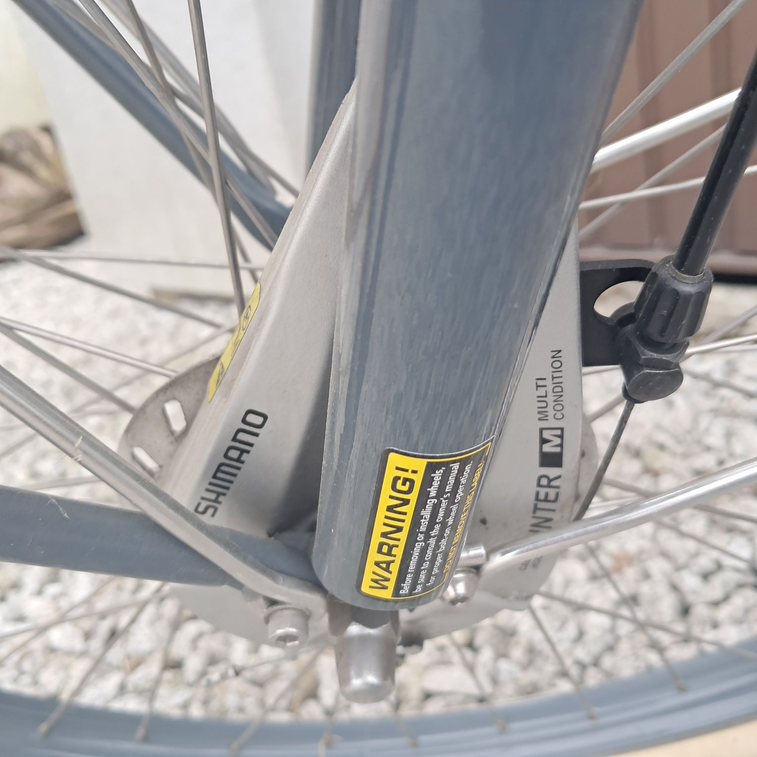 Rower Electra Delivery 3i