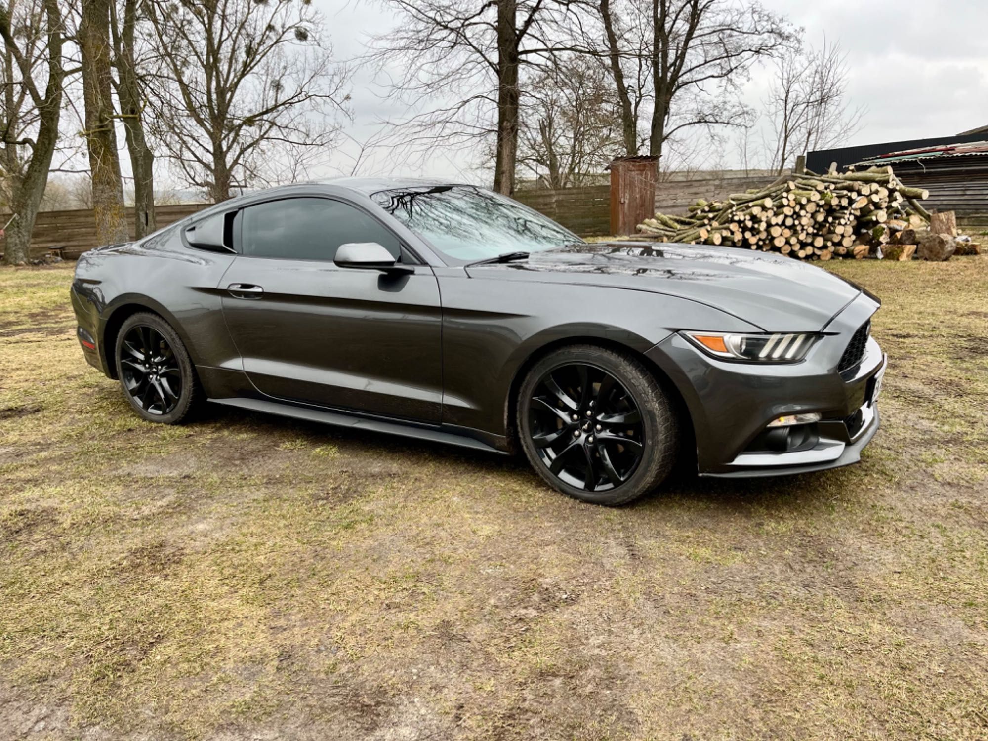 Ford Mustang EcoBoost 2017