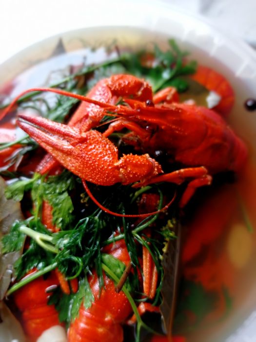 Живі річкові раки