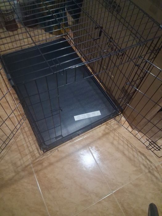 Casota para transporte de cão