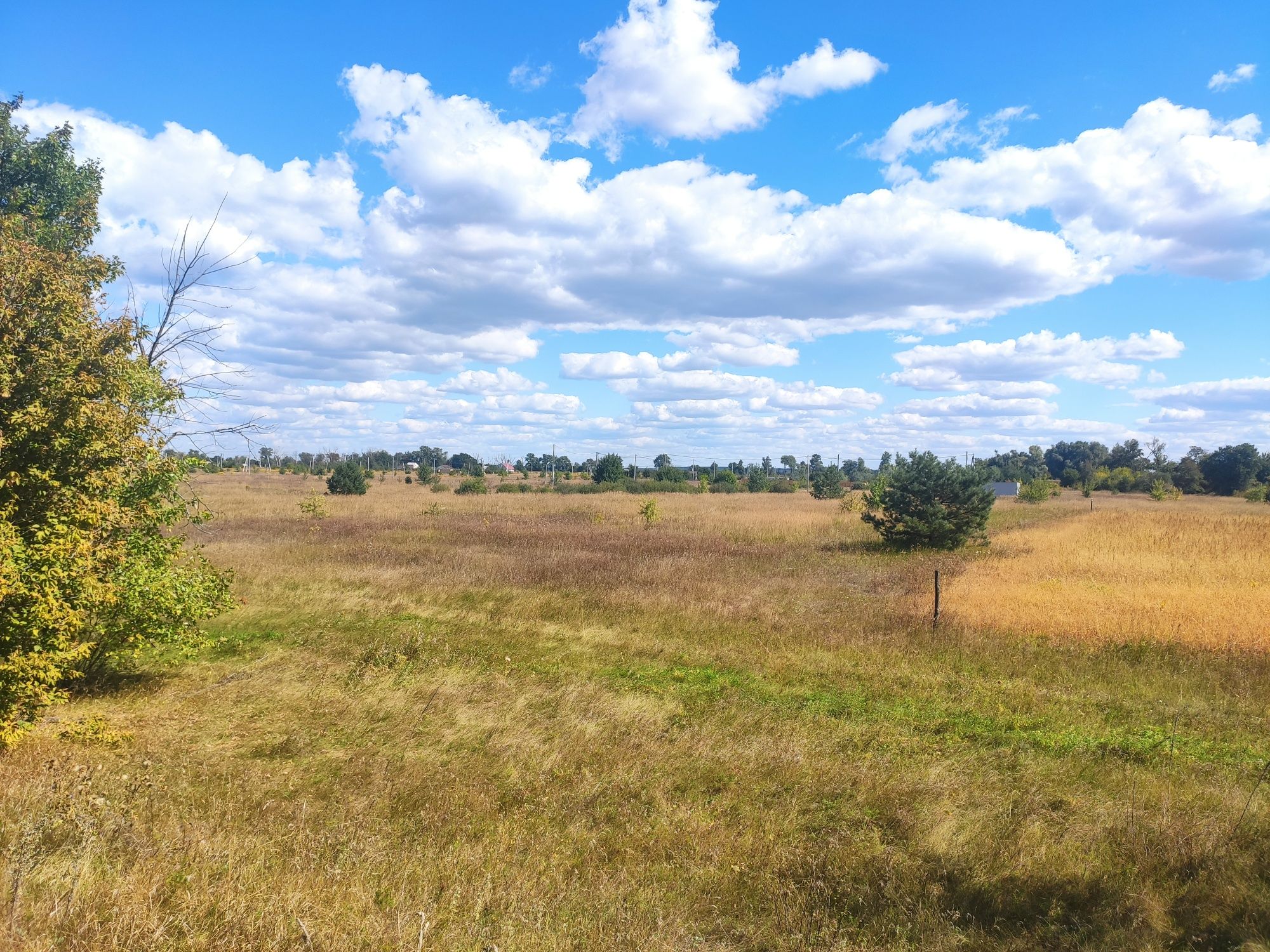 Земельна ділянка, с. Сувид ТЕРМІНОВО