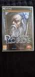 Dungeon Lords - gra na PC
