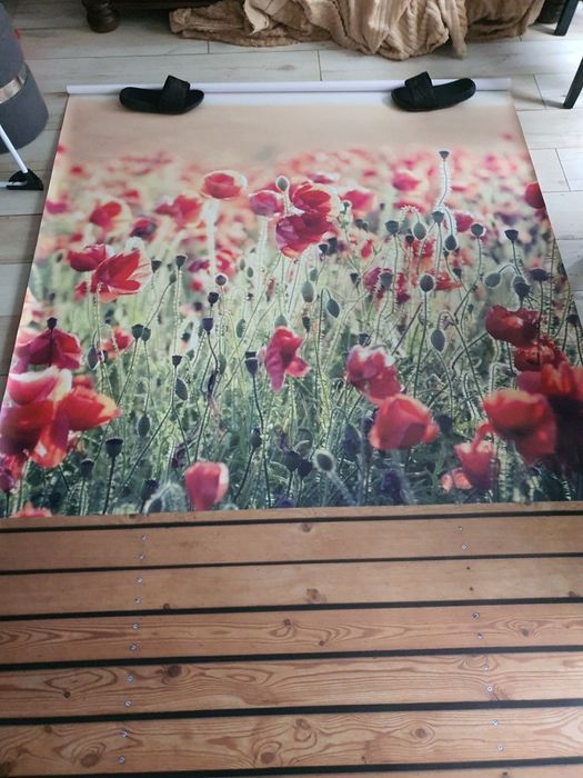 Tło fotograficzne duże