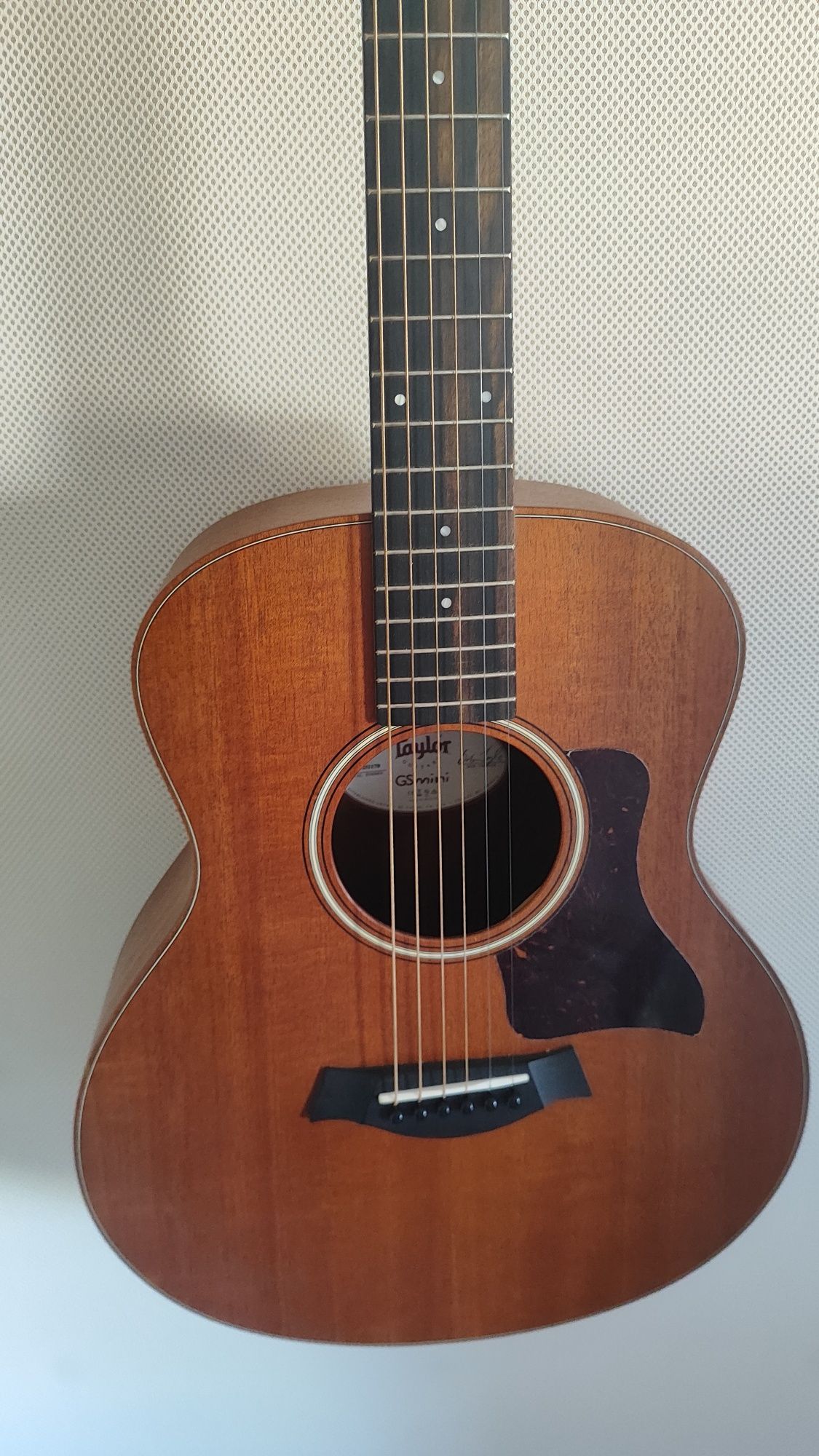 Taylor Gs-Mini Mahogany