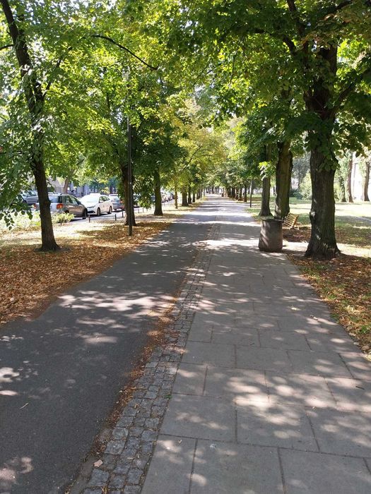 Stare Bielany 2 pokoje z oddzielna kuchnia obok Metra