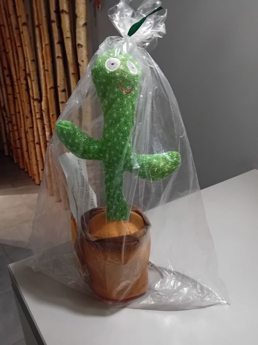 Gadający kaktus śpiewa tańczy powtarza wszystko zabawka Nowa