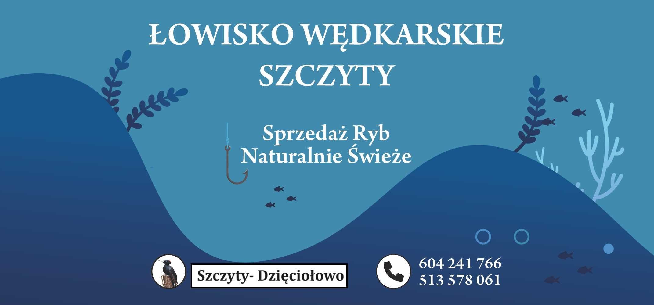 Łowisko wędkarskie Szczyty staw