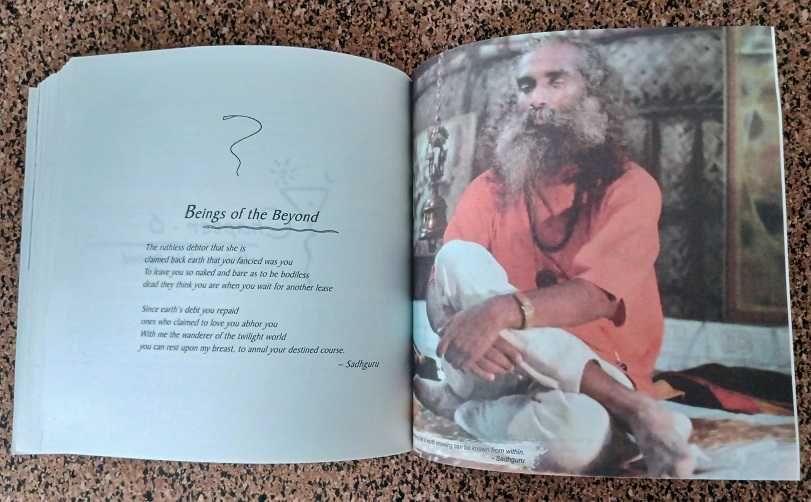 Mystic's Musings (Sadhguru)