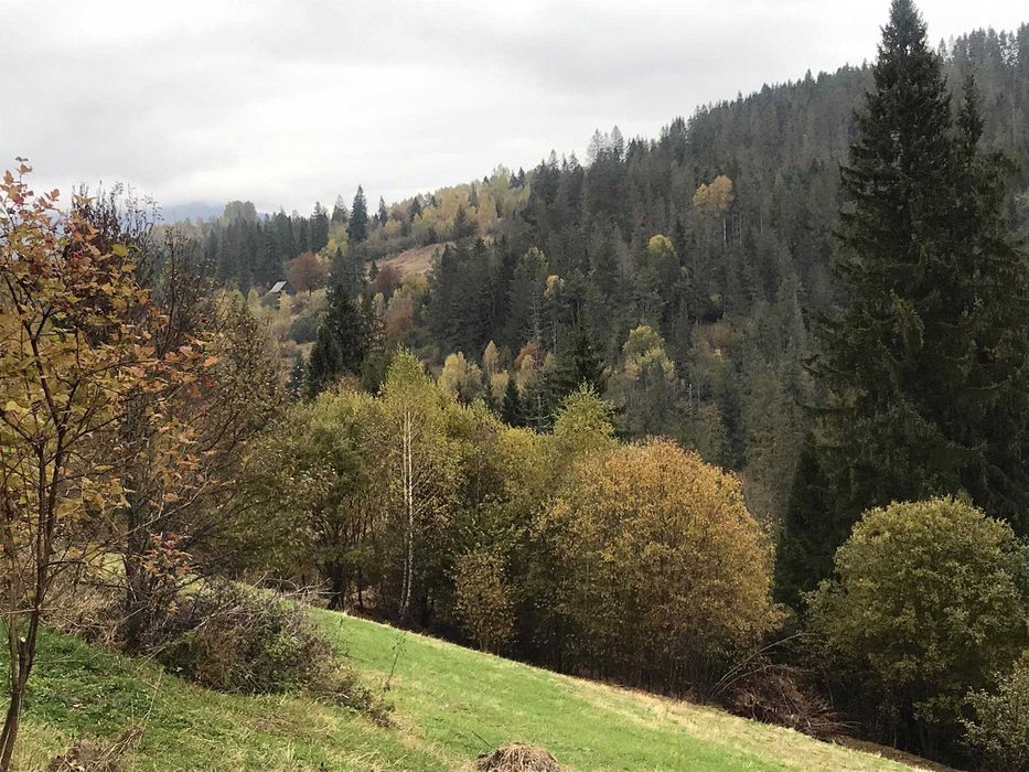 Продаж земельної ділянки Славсько ,Стрийського р-н,Львівської області