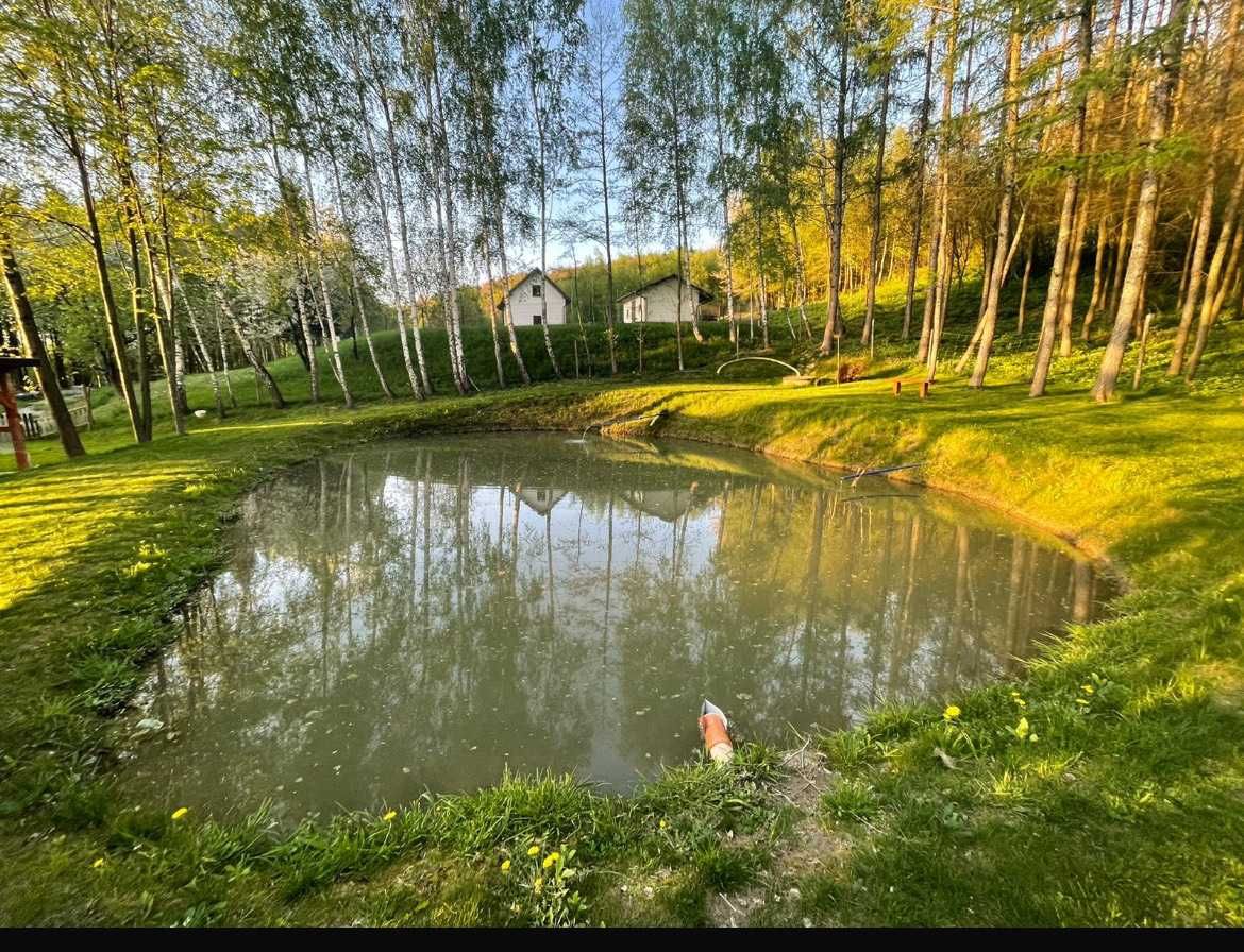 Malowniczy domek w brzozowym lasku w Jaworzu Górnym na wynajem!