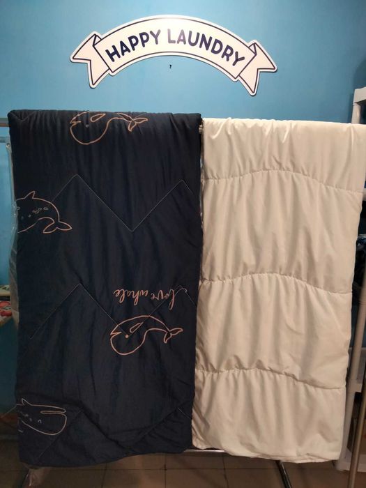 Власний бізнес Пральні-хімчистка "Happy Laundry"