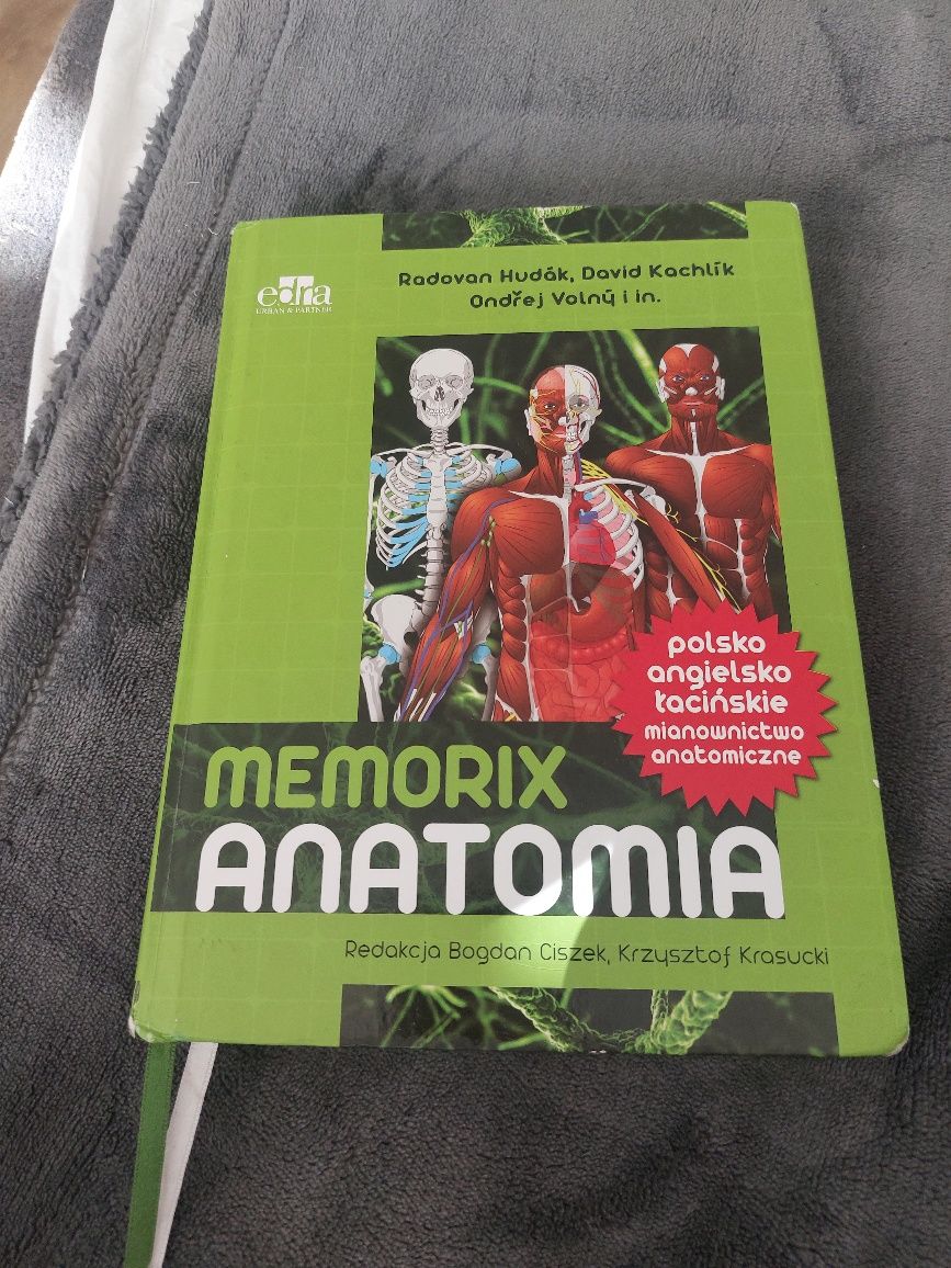 Memorix anatomia
