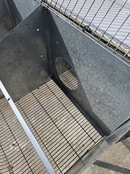 Jaula 5 Casais Perdizes reprodutoras completa