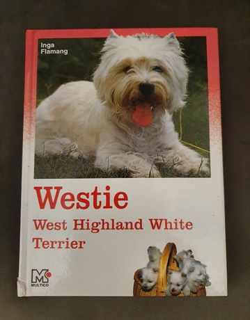 Poradnik pielęgnacji psa  , Westie west Highland white Terrier