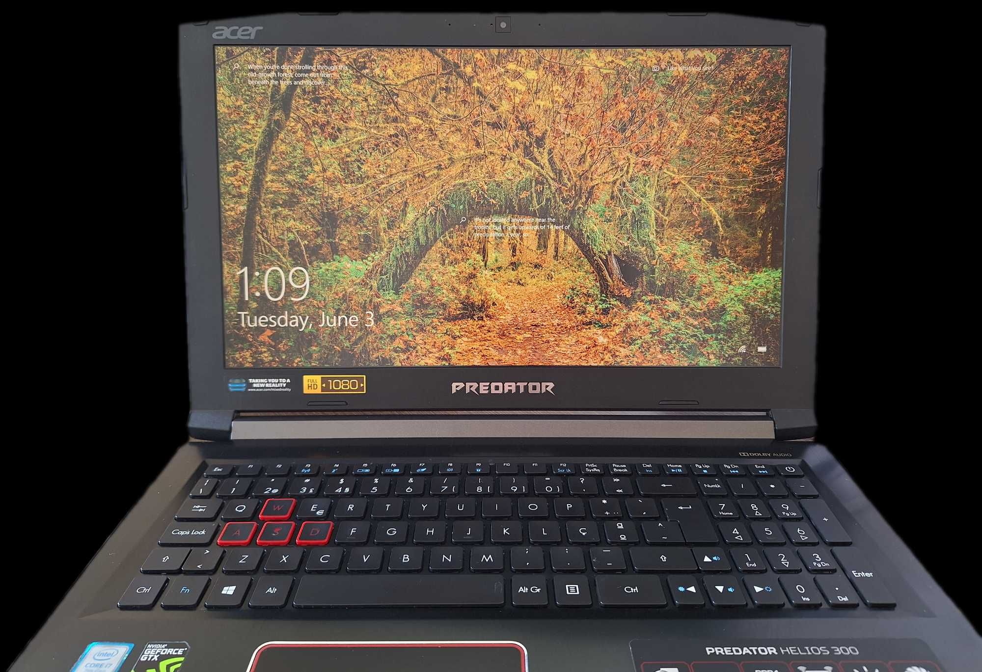 Acer Predator Helios 300 (G3-572)  Gaming & Performance