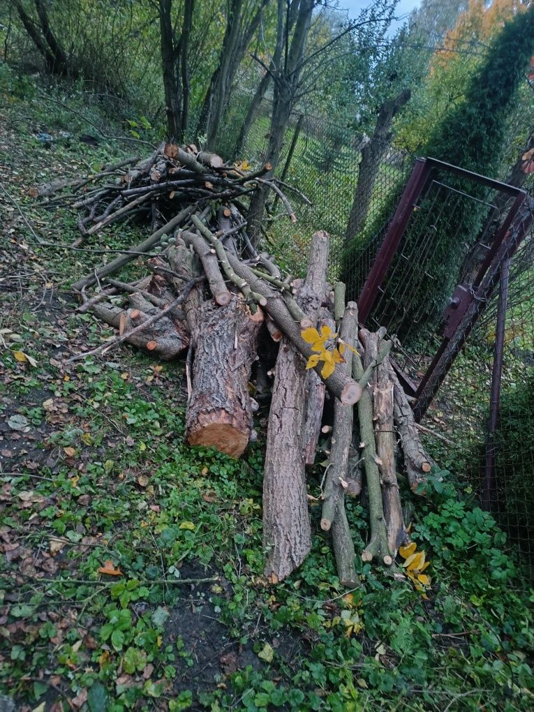 Wycinka drzew, karczowanie i sprzątanie działek