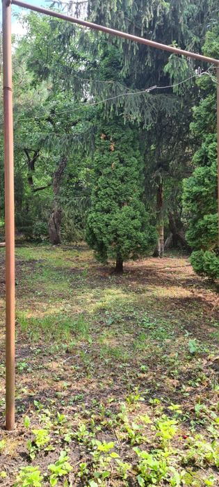 Оренда будинку  Центр  Власник