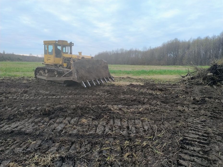 Розчищення полів