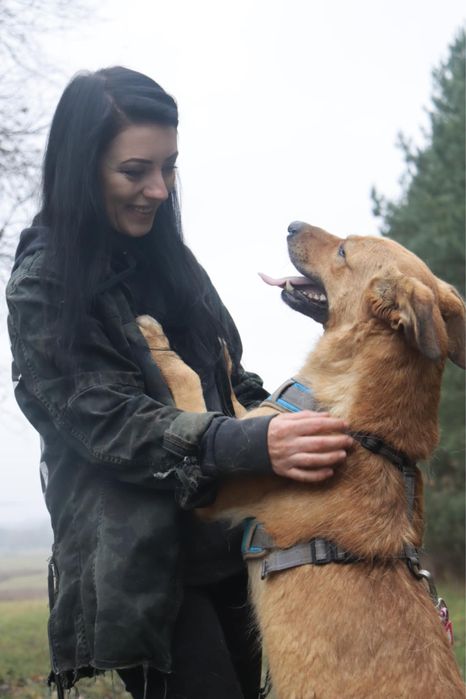 Tokyo wulkan pozytywnej energii szuka najlepszego domu