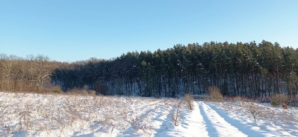 Ділянка 10сот.с.Селисько 14км.до м.Львів Солонківське ОТГ