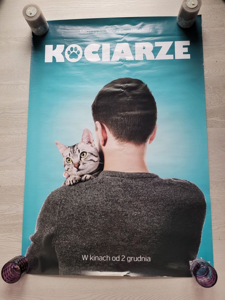 Plakat kinowy z filmu Kociarze Mężczyźni którzy kochają koty