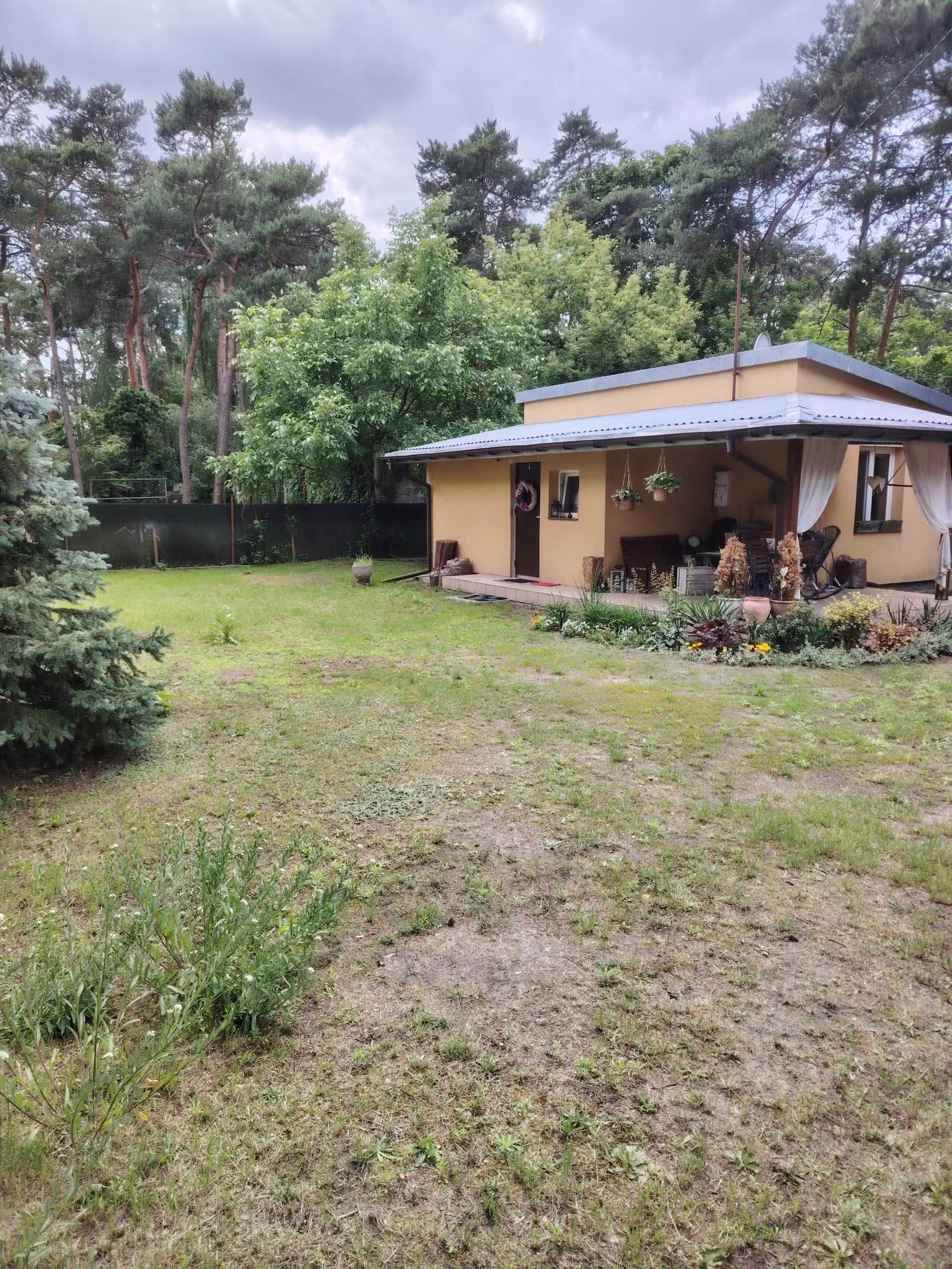 Domek 34 m2 z działką w centrum Sulejówka Niepodległości do wynajęcia