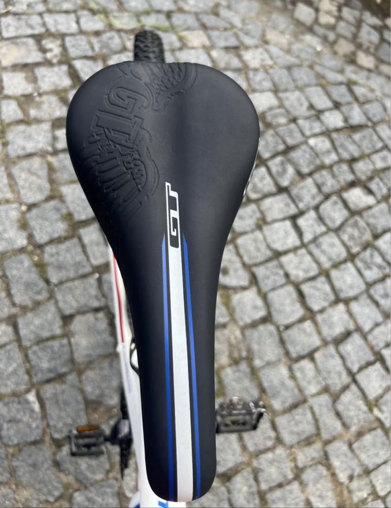 Bicicleta GT roda 29