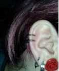 Ear Cuff- Piercing falso