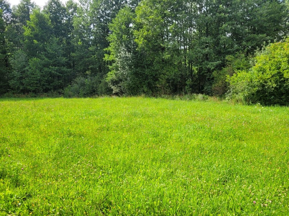 Działka rolno-budowlana