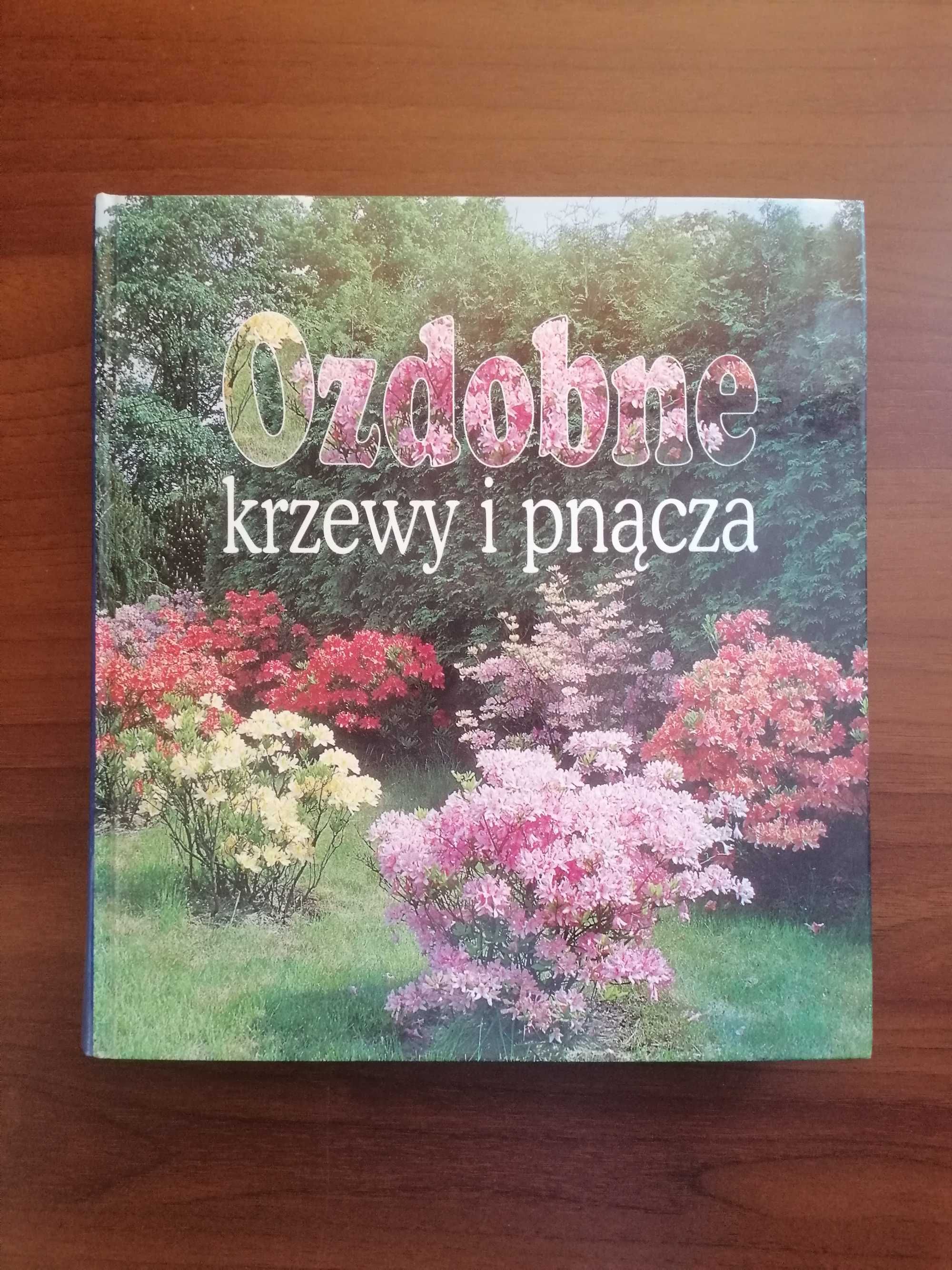 Ozdobne krzewy i pnącza