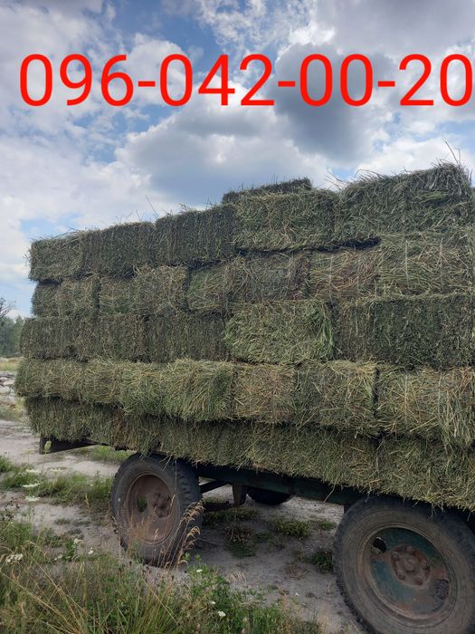 сіно    ЗЛАКОВЕ,  лугове,  польове